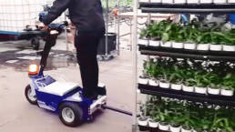 Scooter el&eacute;ctrico de almac&eacute;n K3 remolcando un carro en un invernadero